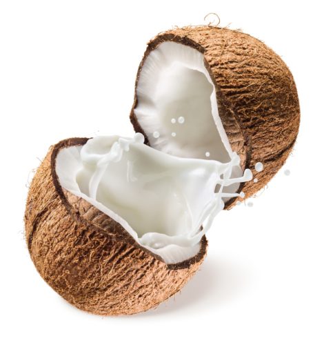 Coconut - 5